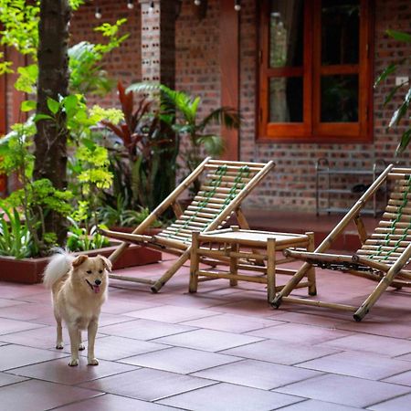 Tam Family Homestay Ninh Bình Exteriör bild