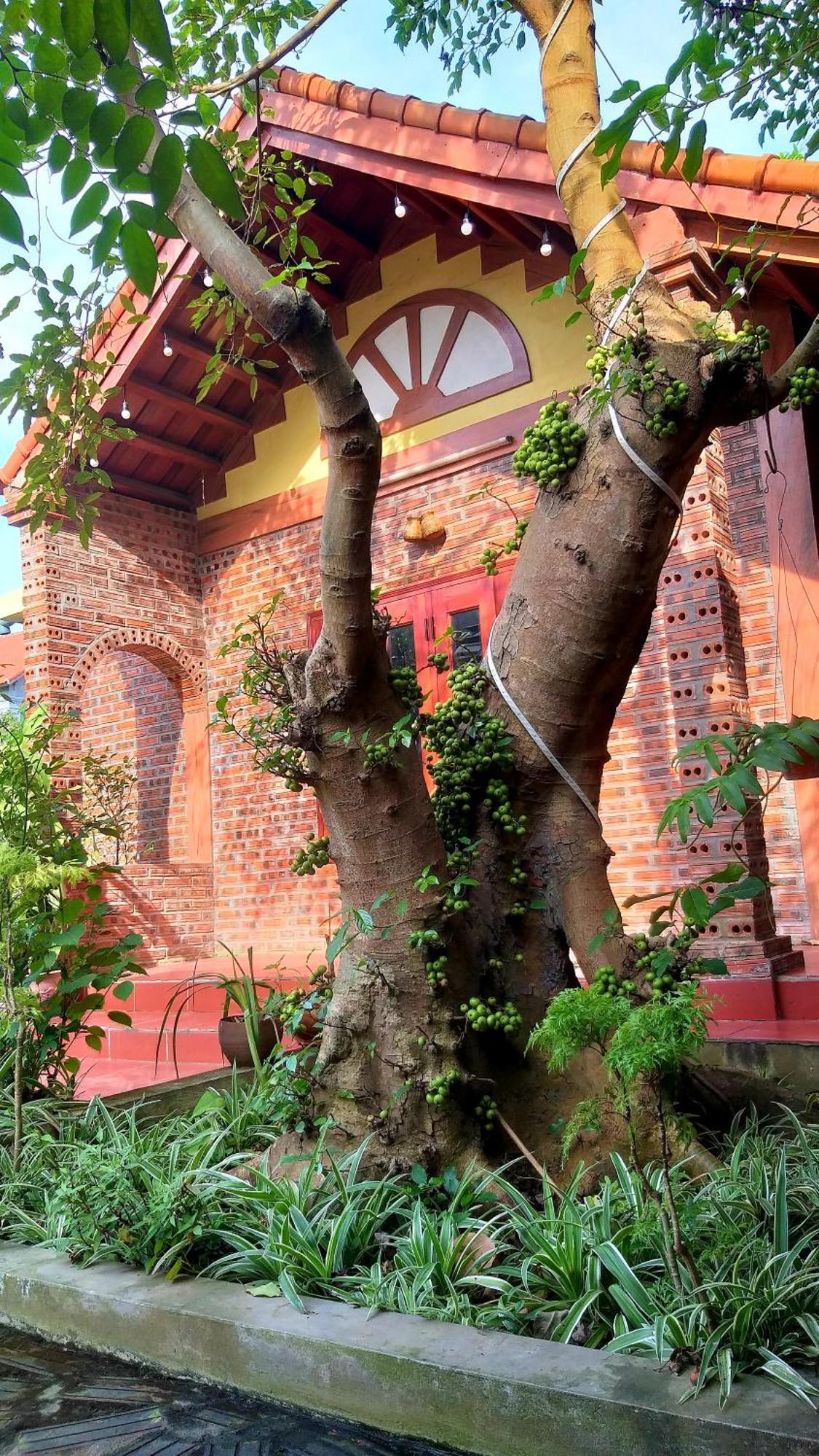 Tam Family Homestay Ninh Bình Exteriör bild