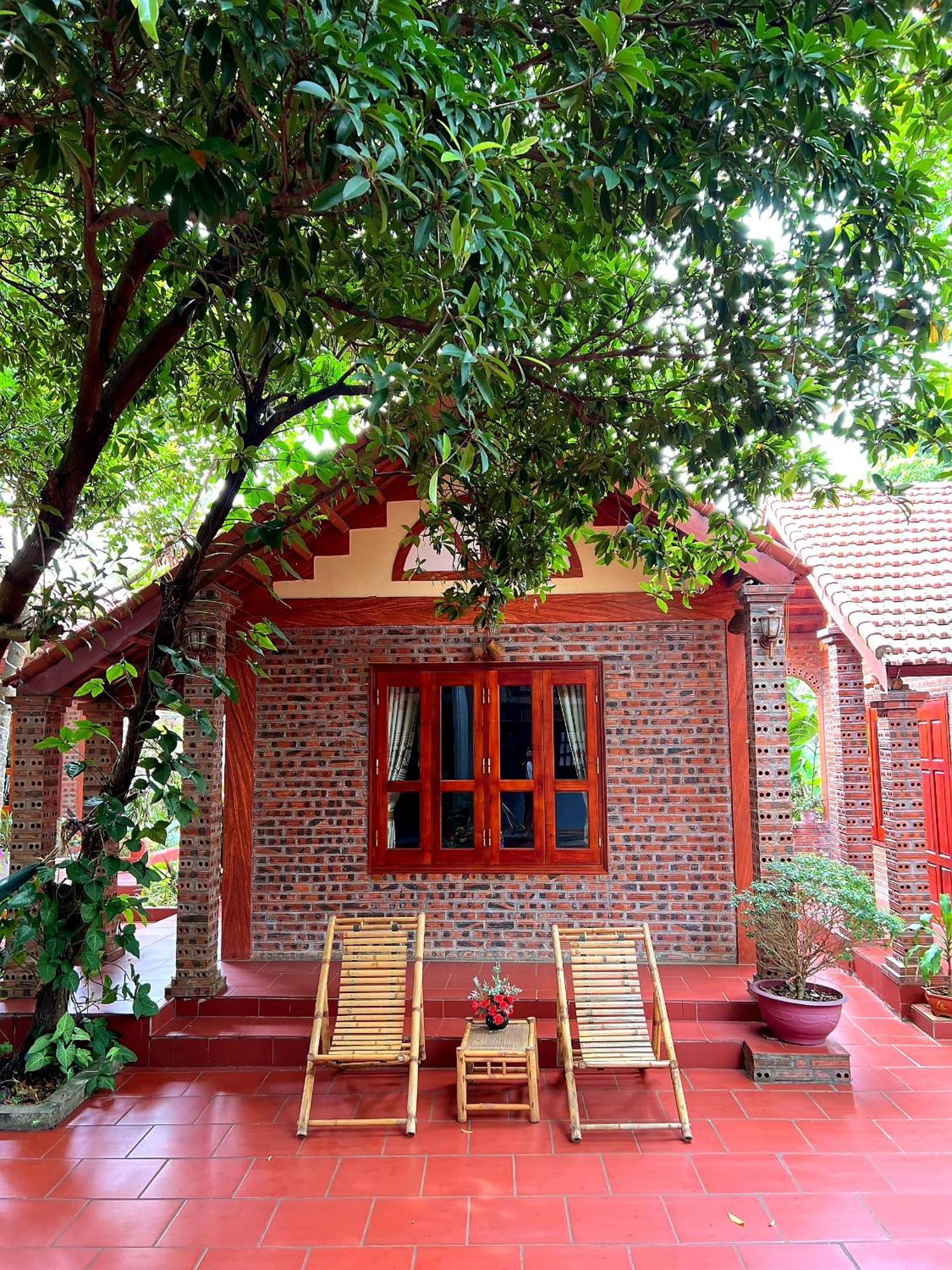 Tam Family Homestay Ninh Bình Exteriör bild