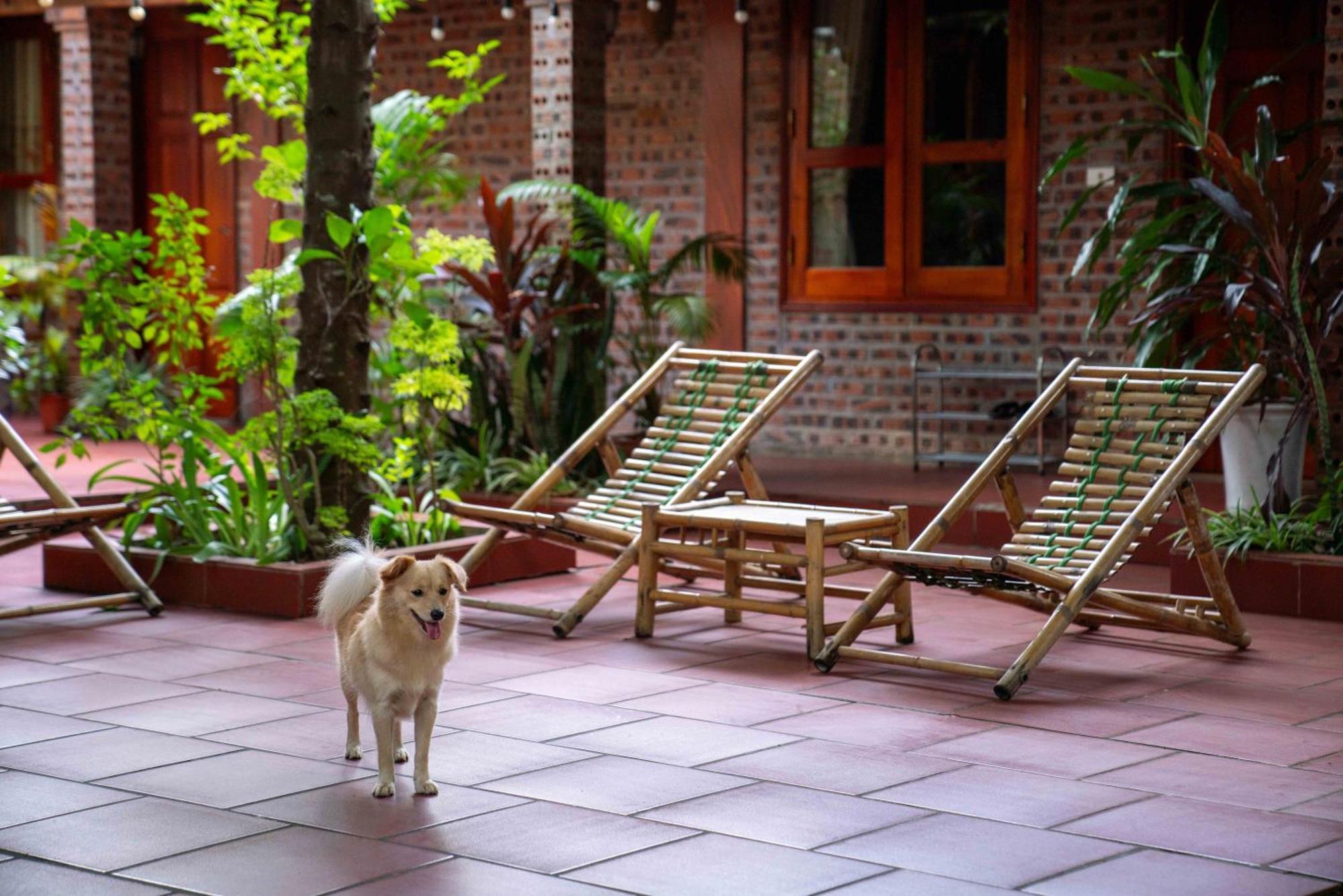 Tam Family Homestay Ninh Bình Exteriör bild