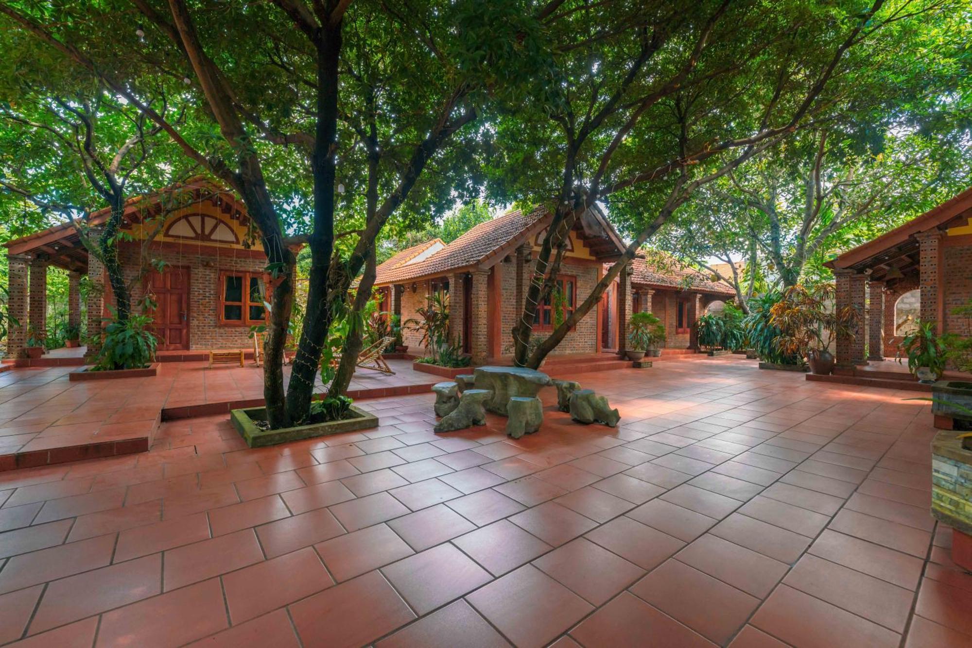 Tam Family Homestay Ninh Bình Exteriör bild
