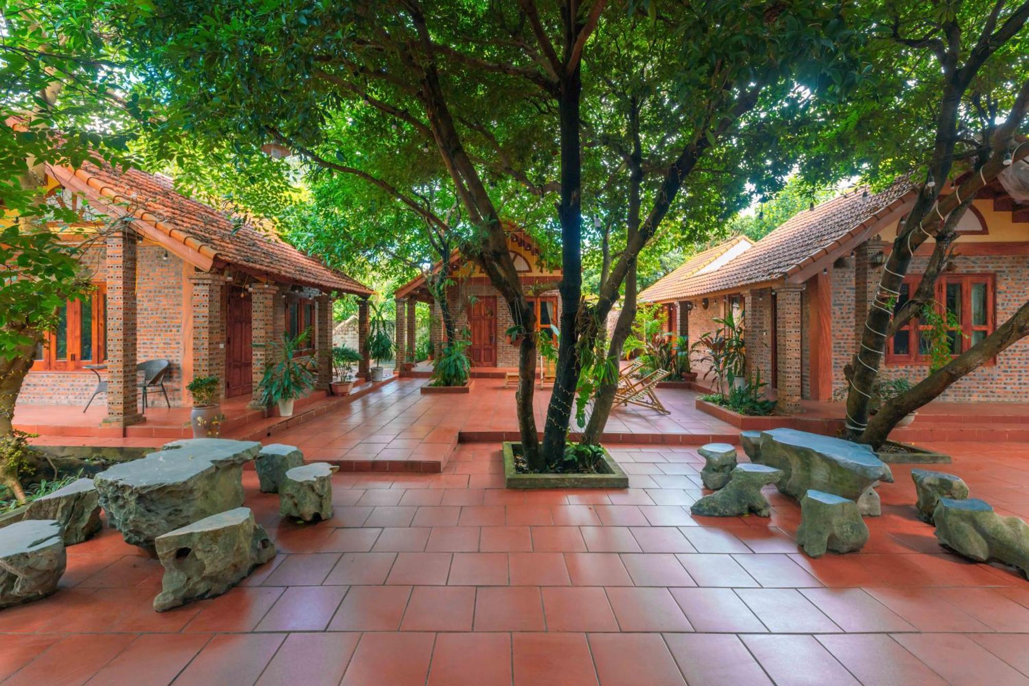 Tam Family Homestay Ninh Bình Exteriör bild